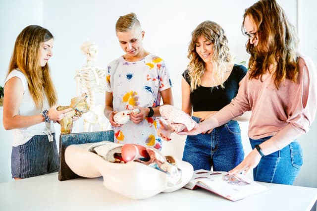 Fizjoterapia co na maturze: kluczowe przedmioty, które musisz znać