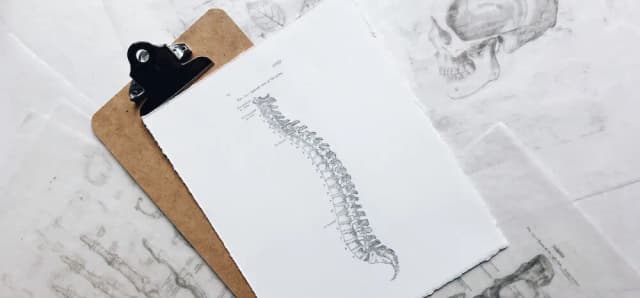 Czy potrzebne skierowanie do fizjoterapeuty? Sprawdź, co musisz wiedzieć